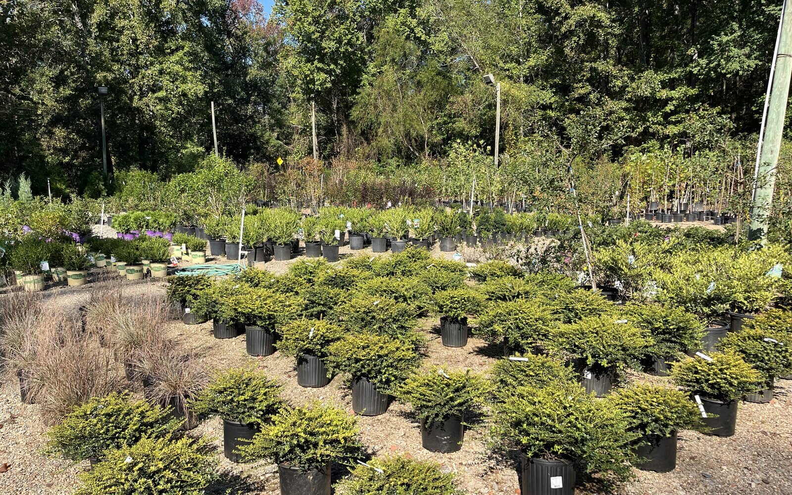 Florida agricultural exemption: the TEAM card at the counter