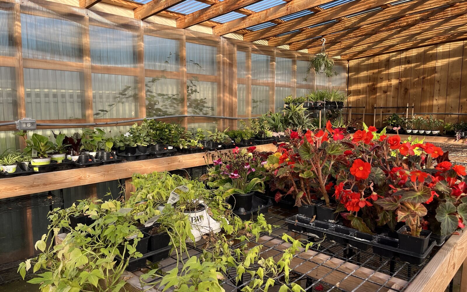 Selling by the flat, yard, and ton: units of measure for garden centers