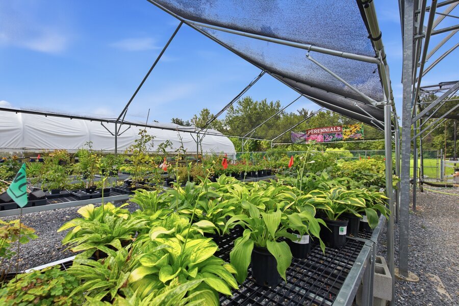 Living inventory: tracking nursery plants by variety, size, and season