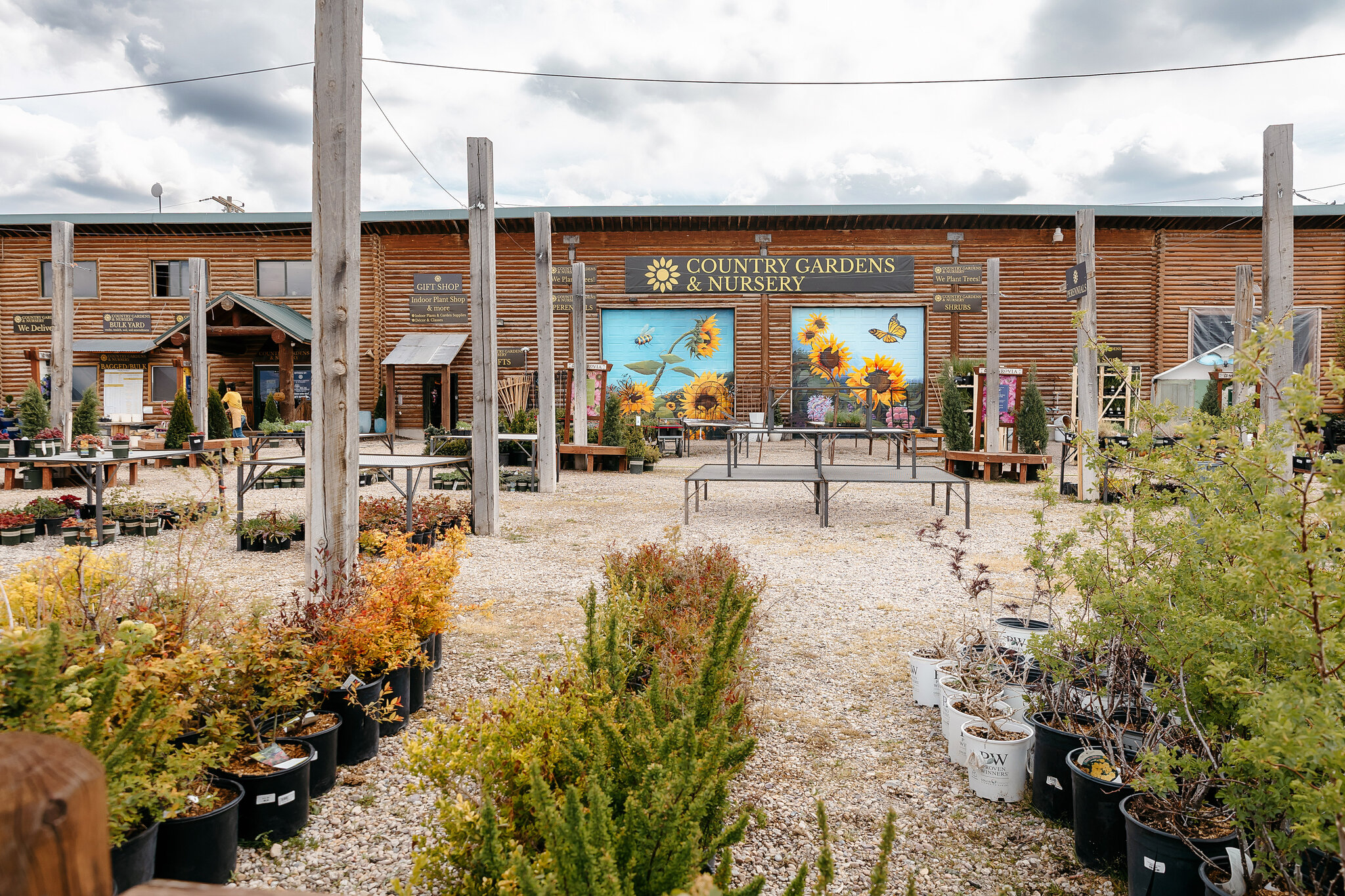 Outdoor plant display at Country Gardens & Nursery