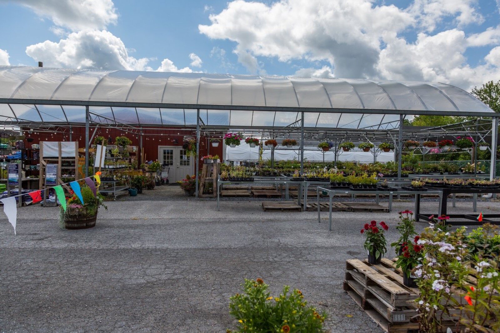 The open nursery yard at Christopher's Garden Center, with benches of plants and a hoop house under a blue sky