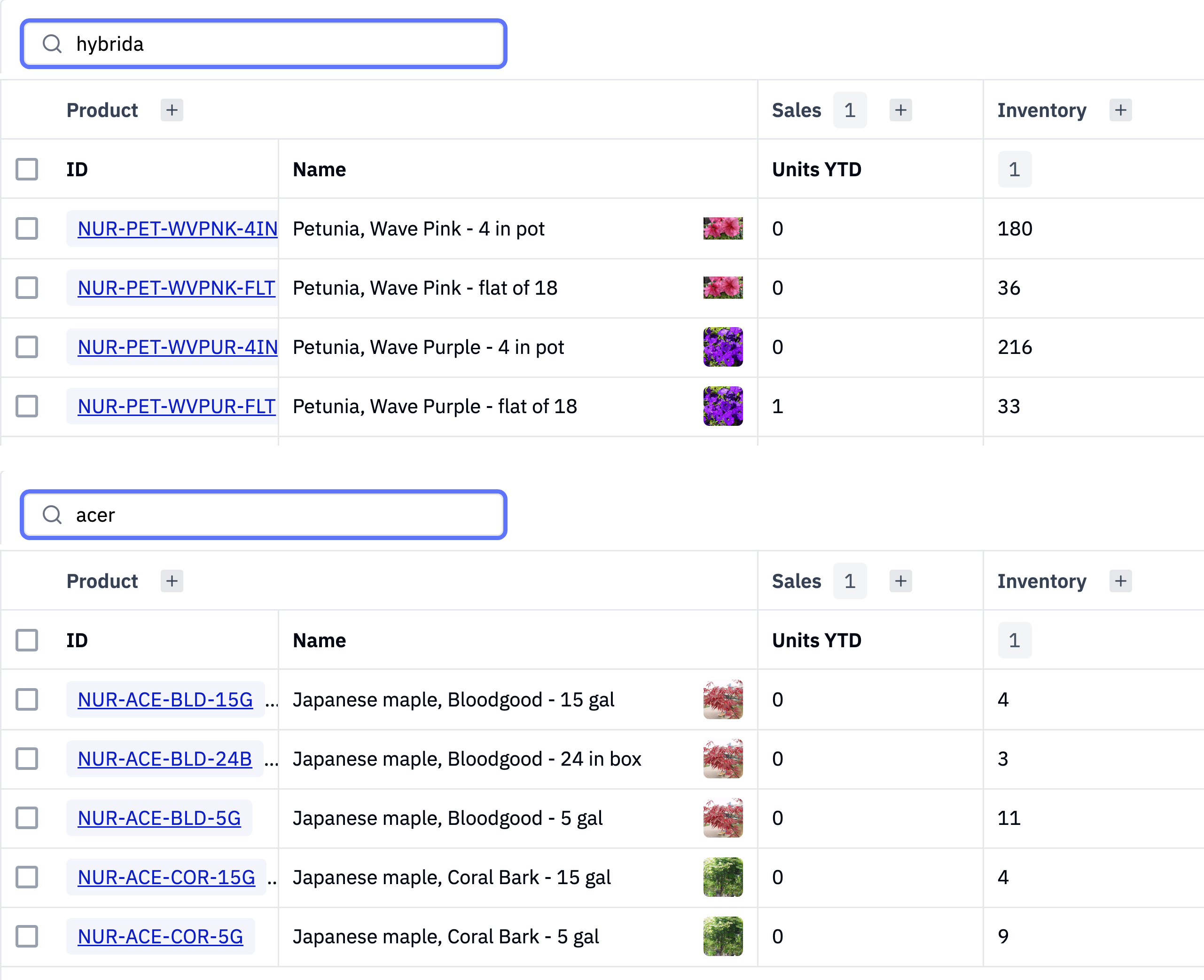 Two product searches in Rundoo: typing hybrida returns the Wave petunias, and typing acer returns the Japanese maples, each with a photo, on-hand count and price