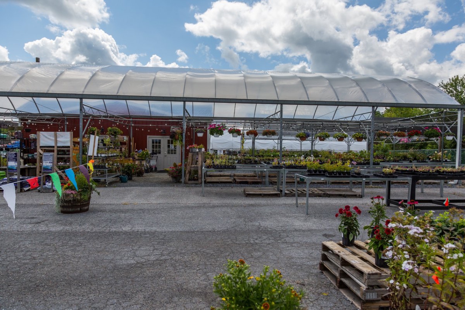 The open nursery yard at Christopher's Garden Center, with benches of plants and a hoop house under a blue sky