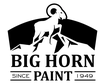 Big Horn Paint