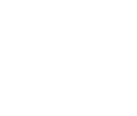 Pitts Paints