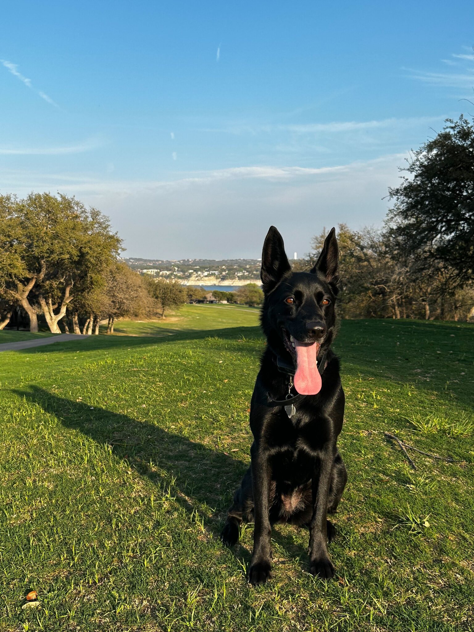 Dixie