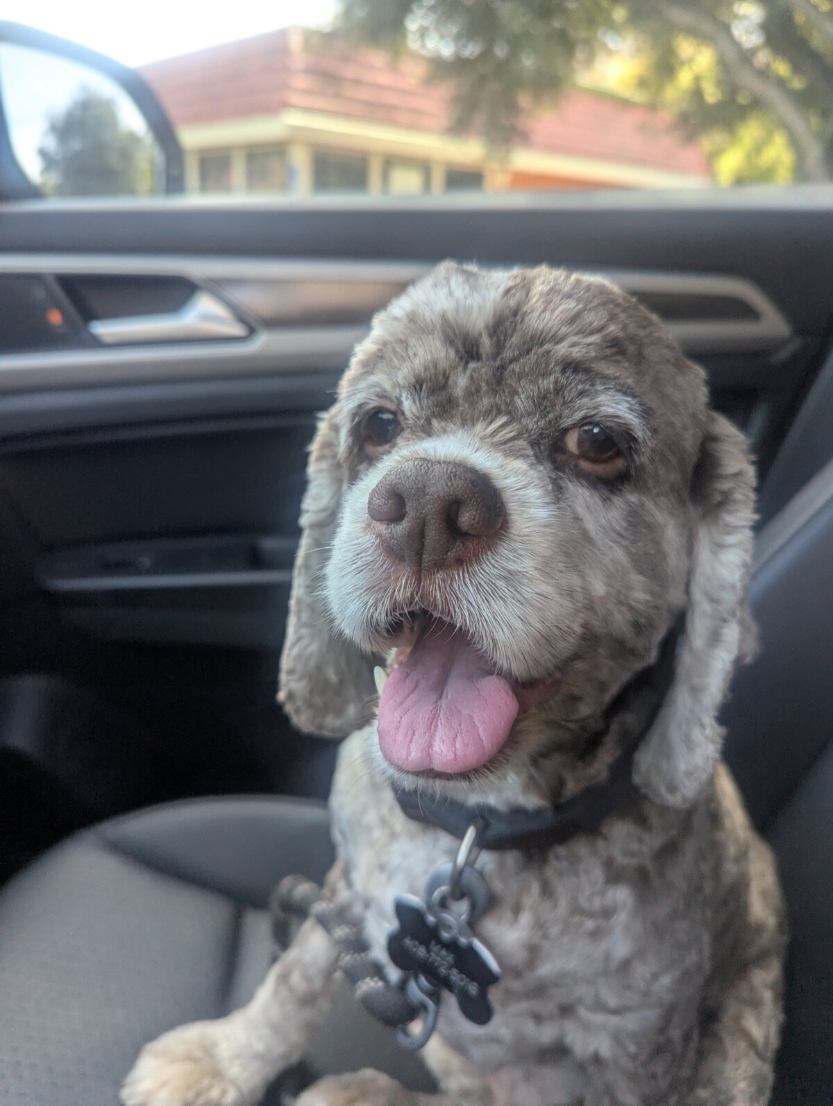 Max