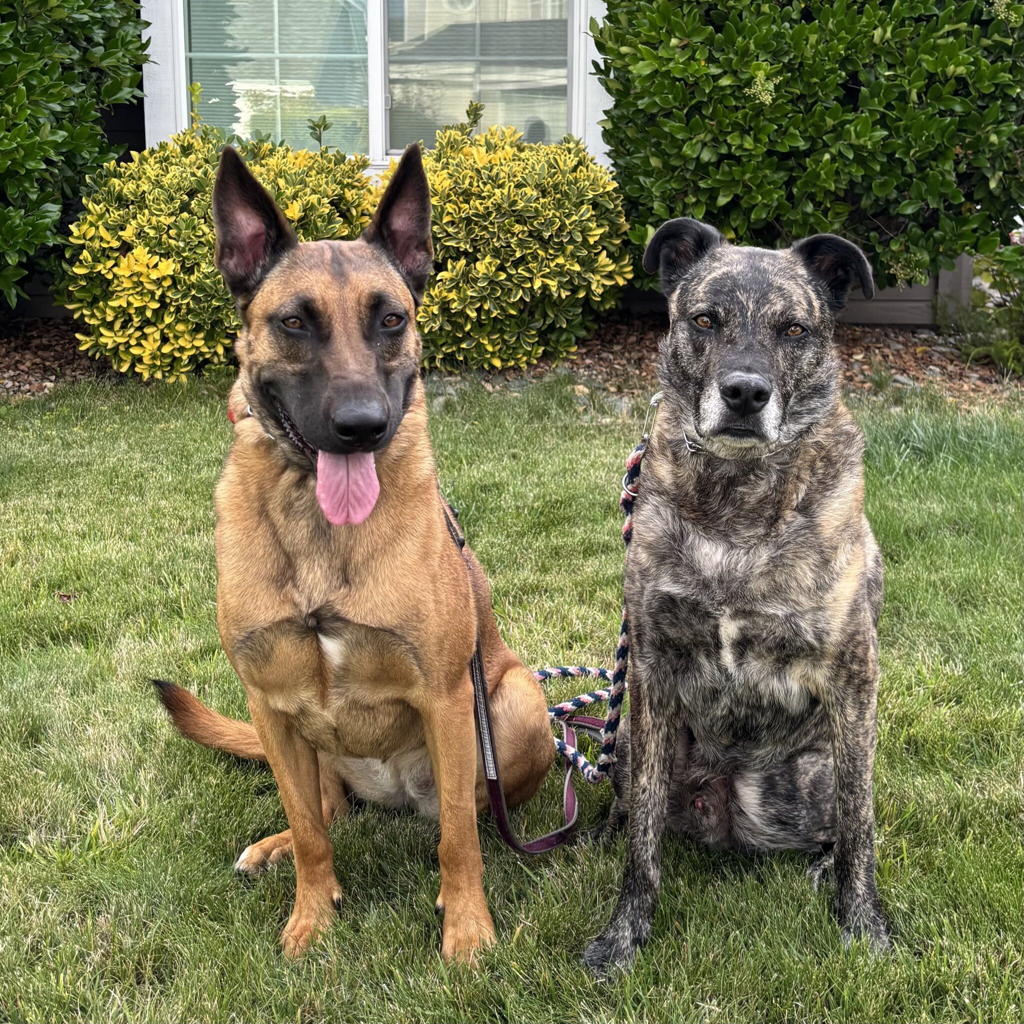 Shelby & Kane